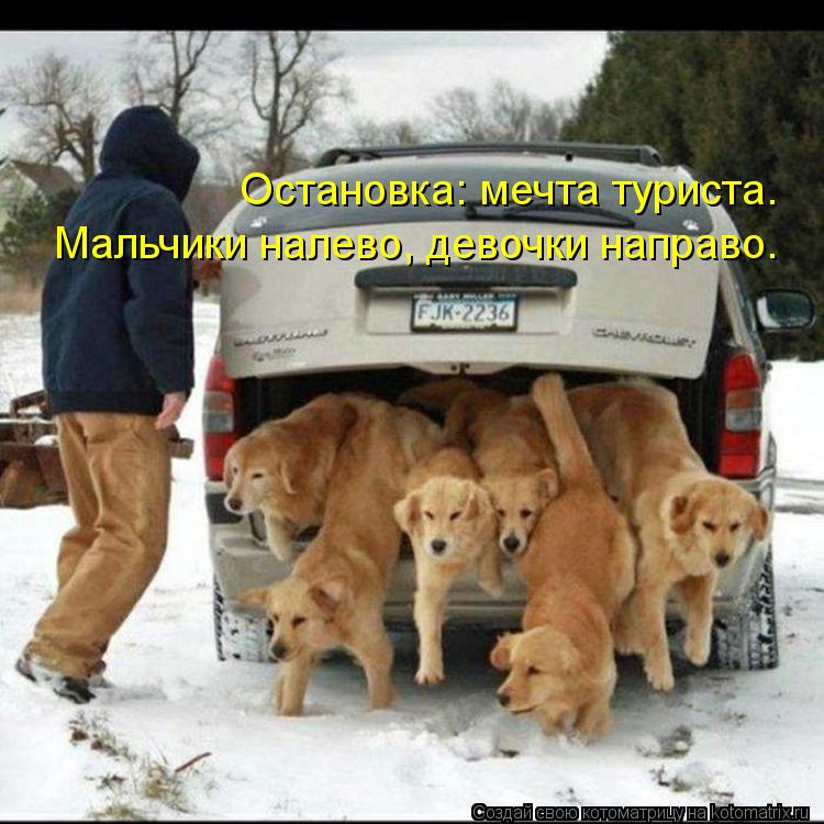 Остановка: мечта туриста. Мальчики налево, девочки направо.... Котоматрица: Остановка: мечта туриста. Мальчики налево, девочки направо.