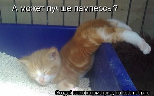 А может лучше памперсы?... Котоматрица: А может лучше памперсы?