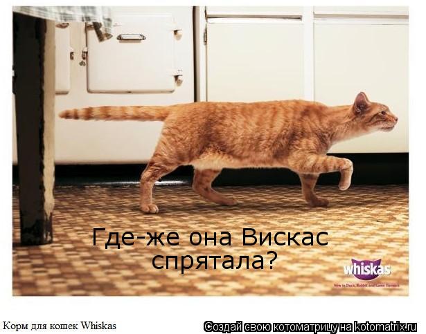 Где-же она Вискас спрятала?... Котоматрица: Где-же она Вискас спрятала?