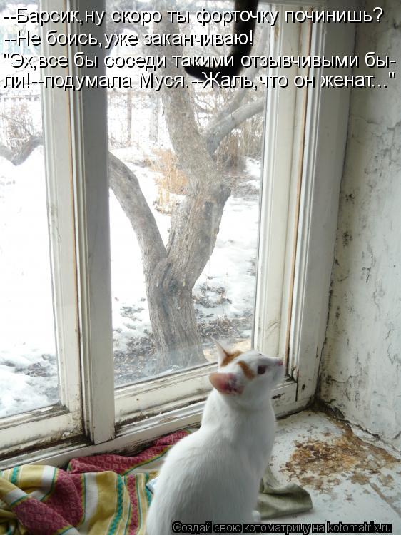 --Барсик,ну скоро ты форточку починишь? --Не боись,уже заканчиваю! "Эх,все бы соседи такими отзывчивы... Котоматрица: --Барсик,ну скоро ты форточку починишь? --Не боись,уже заканчиваю! "Эх,все бы соседи такими отзывчивыми бы- ли!--подумала Муся.--Жаль,что он жена