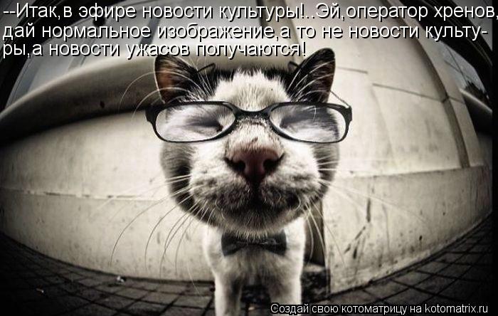 --Итак,в эфире новости культуры!..Эй,оператор хренов, дай нормальное изображение,а то не новости куль... Котоматрица: --Итак,в эфире новости культуры!..Эй,оператор хренов, дай нормальное изображение,а то не новости культу- ры,а новости ужасов получаются!