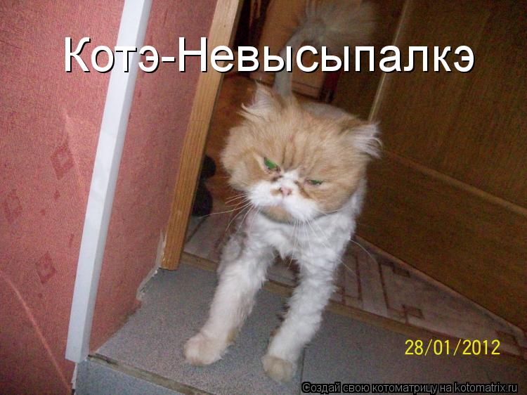 Котэ-Невысыпалкэ... Котоматрица: Котэ-Невысыпалкэ