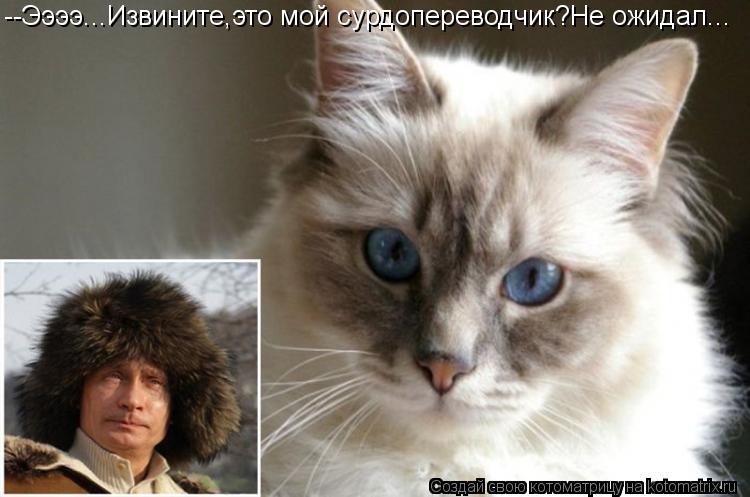 --Ээээ...Извините,это мой сурдопереводчик?Не ожидал...... Котоматрица: --Ээээ...Извините,это мой сурдопереводчик?Не ожидал...