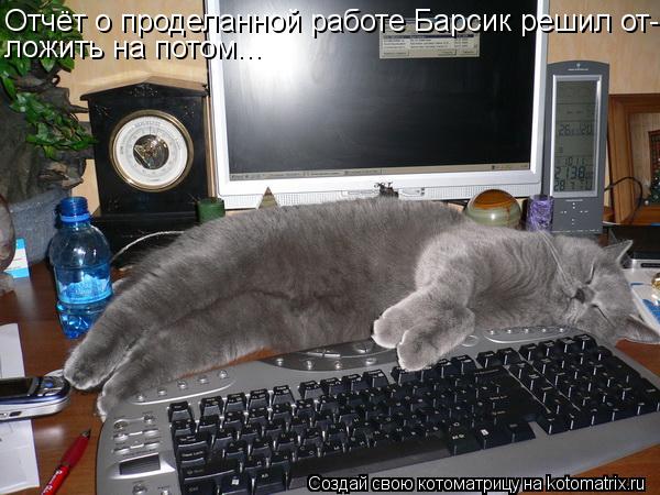Отчёт о проделанной работе Барсик решил от- ложить на потом...... Котоматрица: Отчёт о проделанной работе Барсик решил от- ложить на потом...
