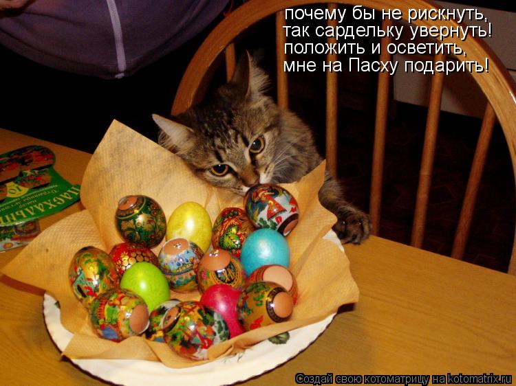 почему бы не рискнуть, почему бы не рискнуть, так сардельку увернуть! положить и осветить, мне на Пас... Котоматрица: почему бы не рискнуть, почему бы не рискнуть, так сардельку увернуть! положить и осветить, мне на Пасху подарить!
