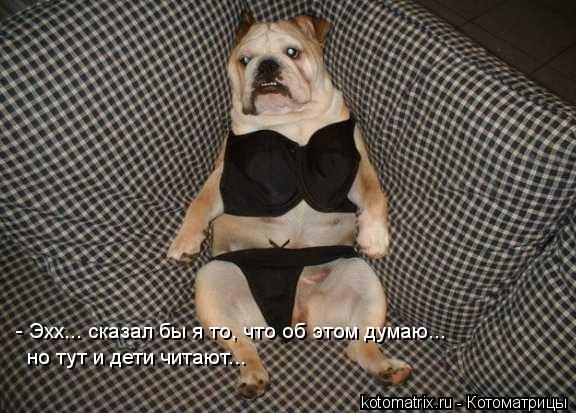 - Эхх... сказал бы я то, что об этом думаю... но тут и дети читают...... Котоматрица: - Эхх... сказал бы я то, что об этом думаю... но тут и дети читают...