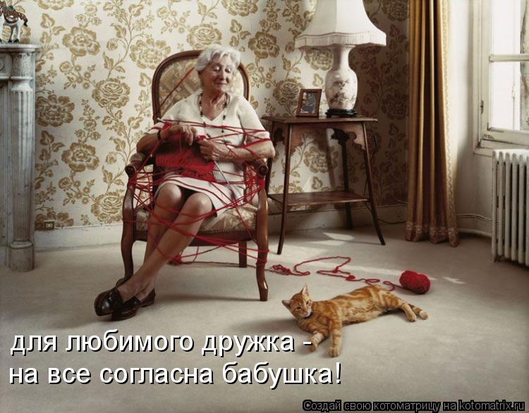для любимого дружка - на все согласна бабушка!... Котоматрица: для любимого дружка - на все согласна бабушка!