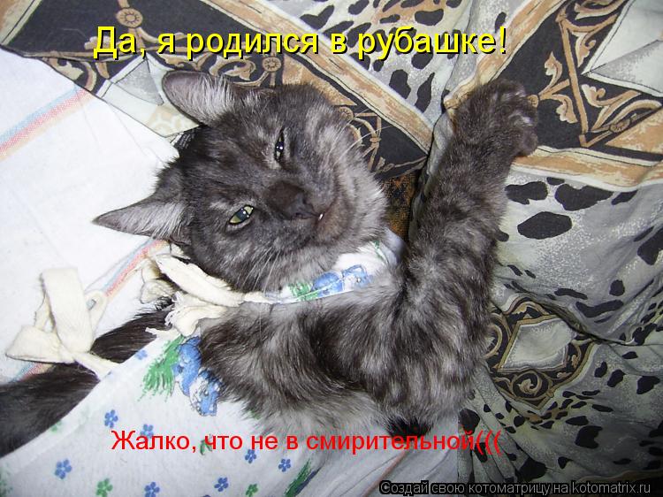 Да, я родился в рубашке! Жалко, что не в смирительной(((... Котоматрица: Да, я родился в рубашке! Жалко, что не в смирительной(((
