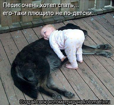 Пёсик очень хотел спать... его-таки плющило не по-детски...... Котоматрица: Пёсик очень хотел спать... его-таки плющило не по-детски...
