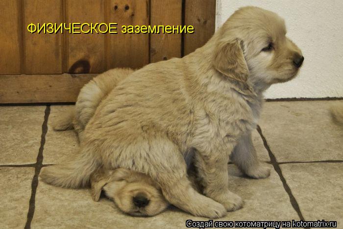 ФИЗИЧЕСКОЕ заземление... Котоматрица: ФИЗИЧЕСКОЕ заземление