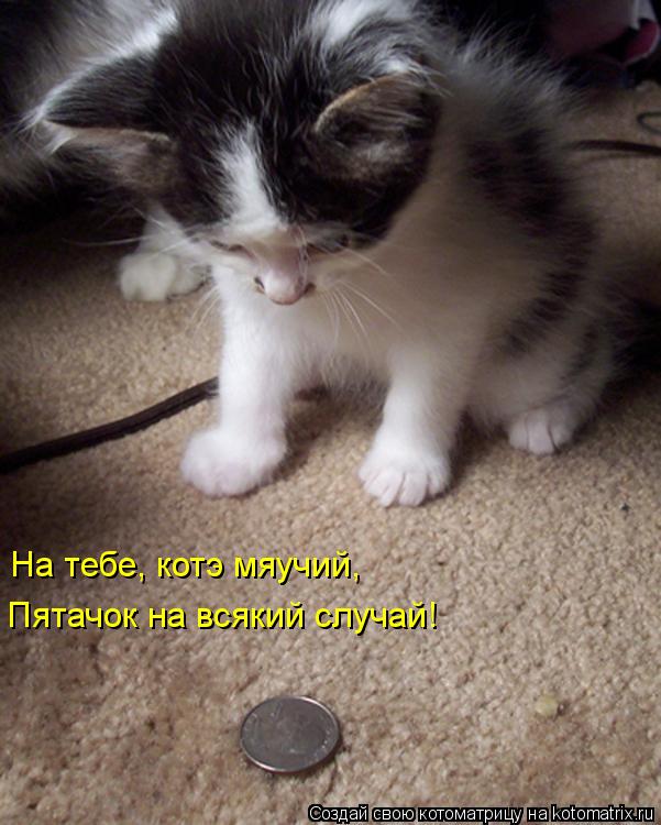 На тебе, котэ мяучий, Пятачок на всякий случай!... Котоматрица: На тебе, котэ мяучий, Пятачок на всякий случай!