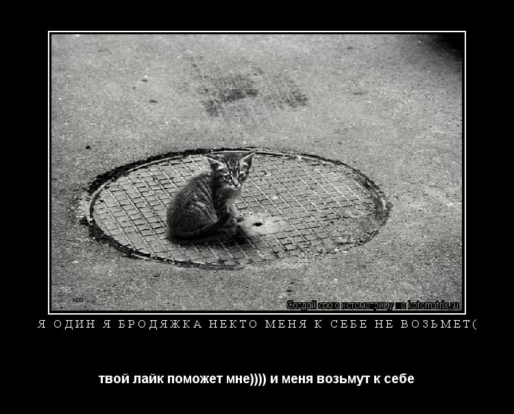я один я бродяжка некто меня к себе не возьмет( твой лайк поможет мне)))) и меня возьмут к себе... Котоматрица: я один я бродяжка некто меня к себе не возьмет( твой лайк поможет мне)))) и меня возьмут к себе
