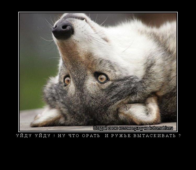 Уйду уйду ! ну что орать и ружьё вытаскивать ? ... Котоматрица: Уйду уйду ! ну что орать и ружьё вытаскивать ?