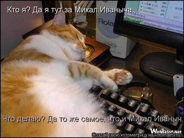 Кто я? Да я тут за Михал Иваныча... Что делаю? Да то же самое, что и Михал Иваныч...... Котоматрица: Кто я? Да я тут за Михал Иваныча... Что делаю? Да то же самое, что и Михал Иваныч...