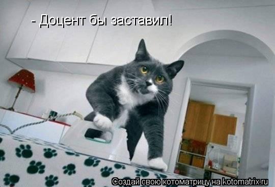 - Доцент бы заставил!... Котоматрица: - Доцент бы заставил!
