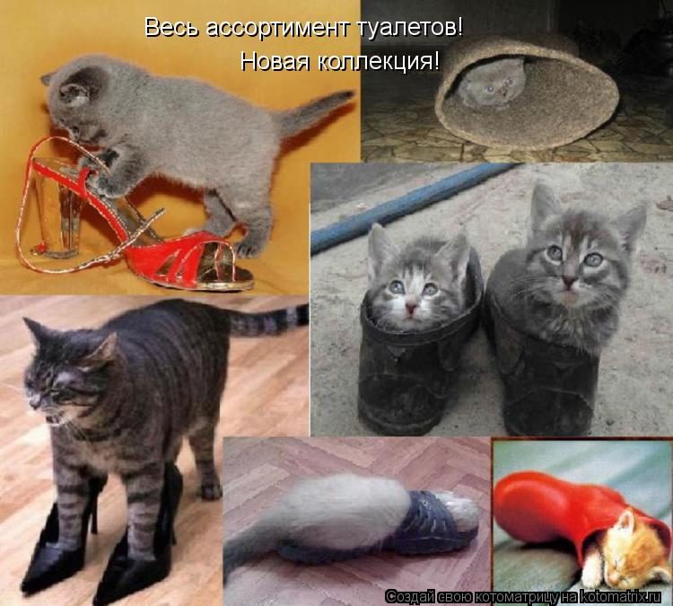 Весь ассортимент туалетов! Новая коллекция!... Котоматрица: Весь ассортимент туалетов! Новая коллекция!