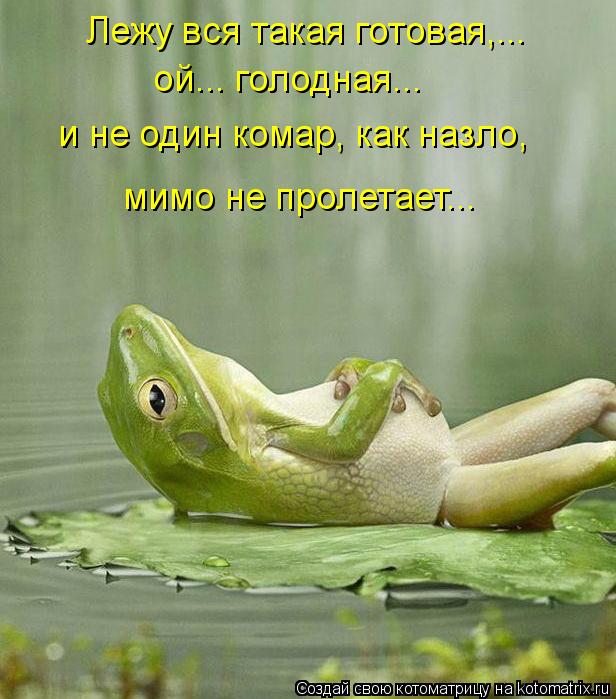 Лежу вся такая готовая,... ой... голодная... и не один комар, как назло, мимо не пролетает...... Котоматрица: Лежу вся такая готовая,... ой... голодная... и не один комар, как назло, мимо не пролетает...