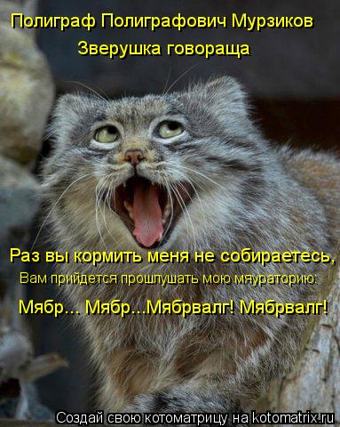 Раз вы кормить меня не собираетесь, Полиграф Полиграфович Мурзиков Зверушка говораща Вам прийдется пр... Котоматрица: Раз вы кормить меня не собираетесь, Полиграф Полиграфович Мурзиков Зверушка говораща Вам прийдется прошлушать мою мяураторию: Мябр... Мябр.