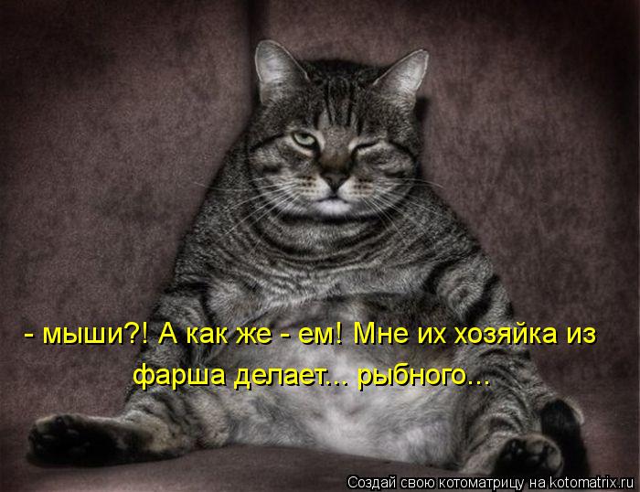 Котоматрица: - мыши?! А как же - ем! Мне их хозяйка из  фарша делает... рыбного...