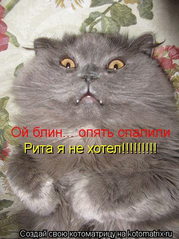 Ой блин... опять спалили Рита я не хотел!!!!!!!!!... Котоматрица: Ой блин... опять спалили Рита я не хотел!!!!!!!!!
