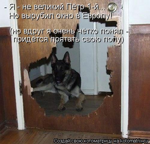- Я - не великий Пётр 1-й... Но вырубил окно в Европу! (но вдруг я очень чётко понял - придётся прят... Котоматрица: - Я - не великий Пётр 1-й... Но вырубил окно в Европу! (но вдруг я очень чётко понял - придётся прятать свою попу)