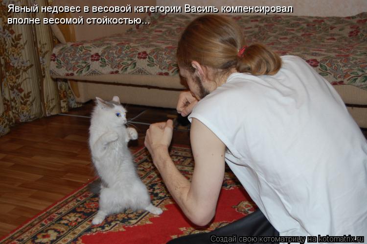 Явный недовес в весовой категории Василь компенсировал вполне весомой стойкостью...... Котоматрица: Явный недовес в весовой категории Василь компенсировал вполне весомой стойкостью...
