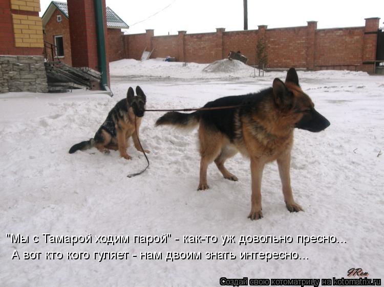 "Мы с Тамарой ходим парой" - как-то уж довольно пресно... А вот кто кого гуляет - нам двоим знать инт... Котоматрица: "Мы с Тамарой ходим парой" - как-то уж довольно пресно... А вот кто кого гуляет - нам двоим знать интересно...