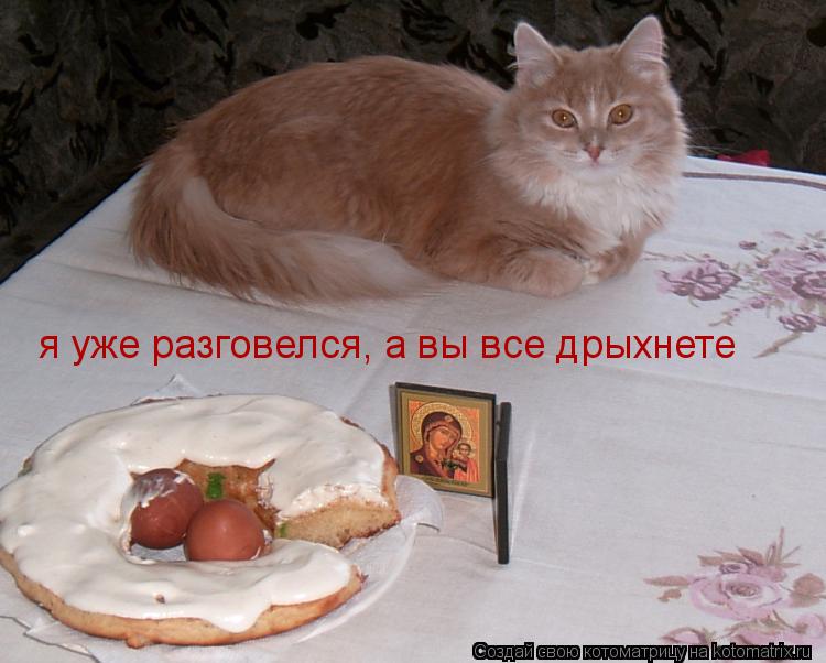 я уже разговелся, а вы все дрыхнете... Котоматрица: я уже разговелся, а вы все дрыхнете