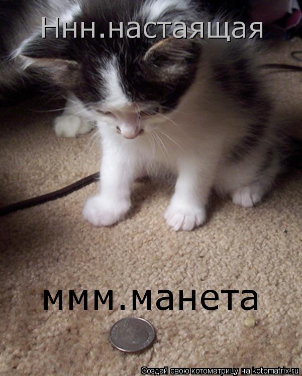 Ннн.настаящая ммм.манета... Котоматрица: Ннн.настаящая ммм.манета