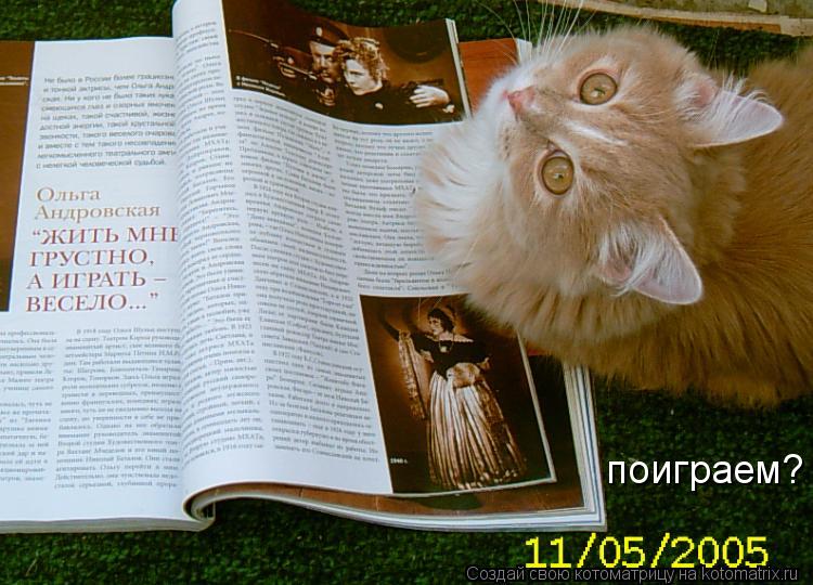 поиграем?... Котоматрица: поиграем?