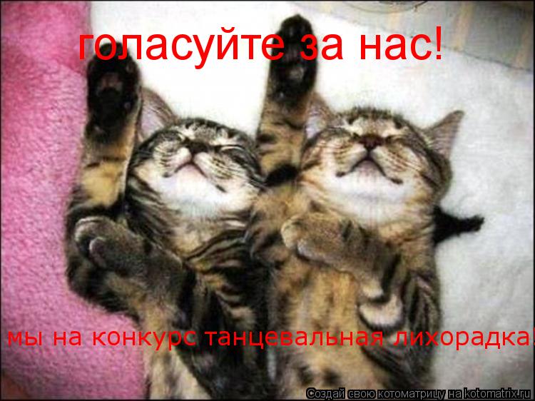 голасуйте за нас! мы на конкурс танцевальная лихорадка!... Котоматрица: голасуйте за нас! мы на конкурс танцевальная лихорадка!