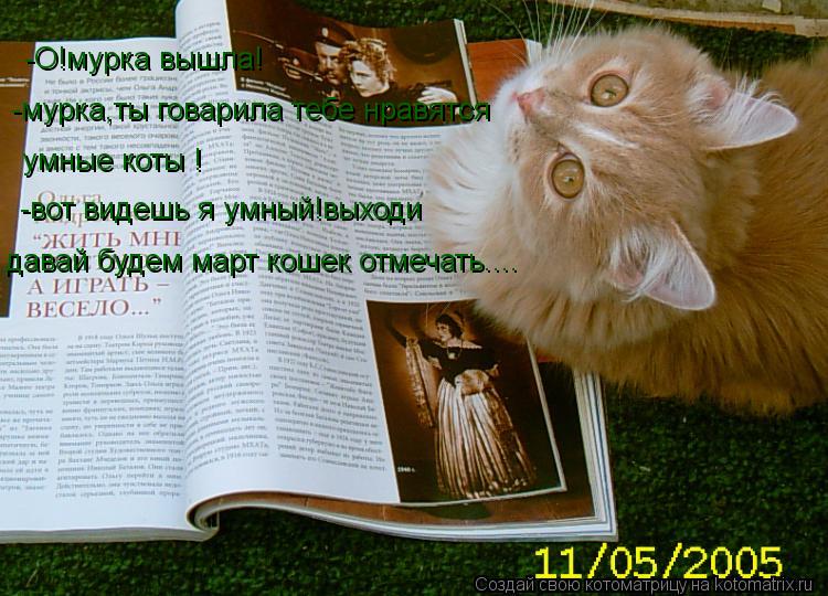 -О!мурка вышла! -мурка,ты говарила тебе нравятся умные коты ! -вот видешь я умный!выходи давай будем ... Котоматрица: -О!мурка вышла! -мурка,ты говарила тебе нравятся умные коты ! -вот видешь я умный!выходи давай будем март кошек отмечать....