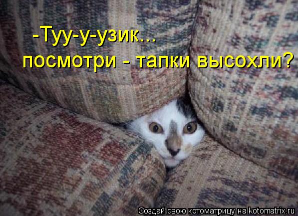 -Туу-у-узик... посмотри - тапки высохли?... Котоматрица: -Туу-у-узик... посмотри - тапки высохли?