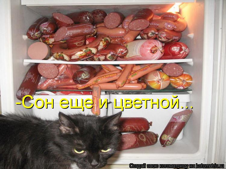 -Сон еще и цветной...... Котоматрица: -Сон еще и цветной...