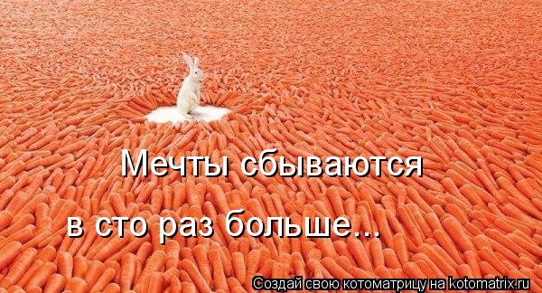 Мечты сбываются в сто раз больше...... Котоматрица: Мечты сбываются в сто раз больше...