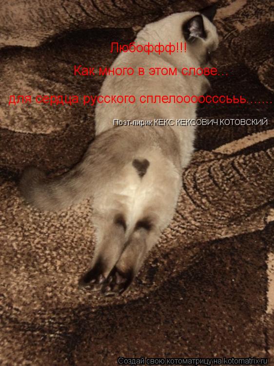 Любоффф!!! Как много в этом слове... для сердца русского сплелоооосссььь....... Поэт-лирик КЕКС КЕ... Котоматрица: Любоффф!!! Как много в этом слове... для сердца русского сплелоооосссььь....... Поэт-лирик КЕКС КЕКСОВИЧ КОТОВСКИЙ