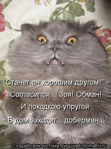 И походкою упругой В дом заходит... доберман... Согласился... Зря! Обман! "Станет он хорошим другом!"... Котоматрица: И походкою упругой В дом заходит... доберман... Согласился... Зря! Обман! "Станет он хорошим другом!" -