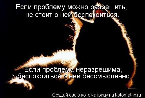 Если проблему можно разрешить, Если проблему можно разрешить, не стоит о ней беспокоиться. Если про... Котоматрица: Если проблему можно разрешить, Если проблему можно разрешить, не стоит о ней беспокоиться. Если проблема неразрешима, беспокоиться о ней