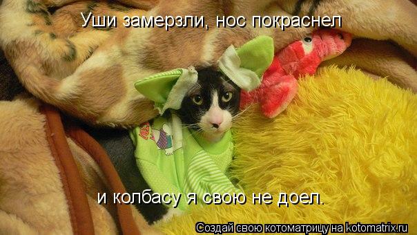 Уши замерзли, нос покраснел и колбасу я свою не доел.... Котоматрица: Уши замерзли, нос покраснел и колбасу я свою не доел.