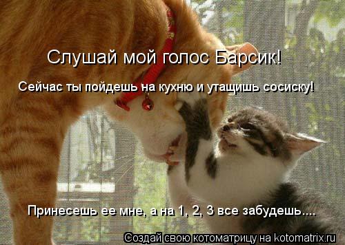Слушай мой голос Барсик! Сейчас ты пойдешь на кухню и утащишь сосиску! Принесешь ее мне, а на 1, 2, 3... Котоматрица: Слушай мой голос Барсик! Сейчас ты пойдешь на кухню и утащишь сосиску! Принесешь ее мне, а на 1, 2, 3 все забудешь....