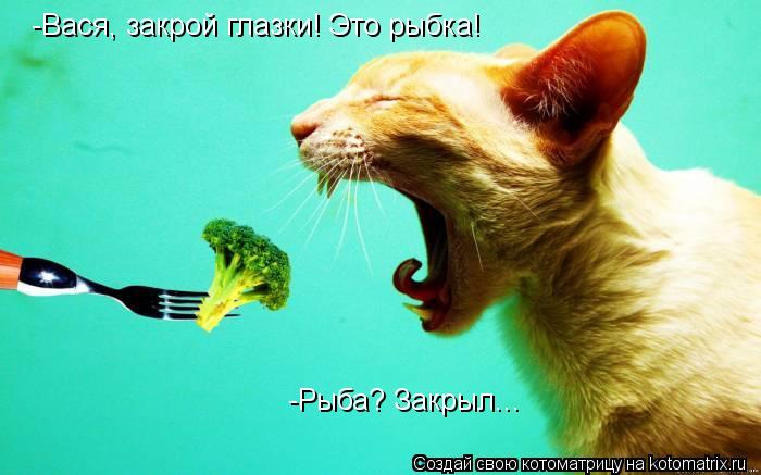 -Вася, закрой глазки! Это рыбка! -Рыба? Закрыл...... Котоматрица: -Вася, закрой глазки! Это рыбка! -Рыба? Закрыл...