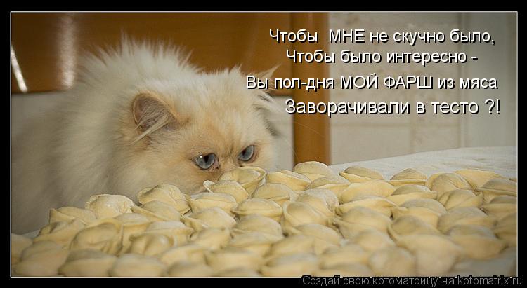 Чтобы было интересно - Вы пол-дня МОЙ ФАРШ из мяса Заворачивали в тесто ?! Чтобы МНЕ не скучно было,... Котоматрица: Чтобы было интересно - Вы пол-дня МОЙ ФАРШ из мяса Заворачивали в тесто ?! Чтобы МНЕ не скучно было,