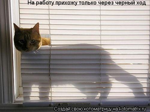 На работу прихожу только через черный ход... Котоматрица: На работу прихожу только через черный ход