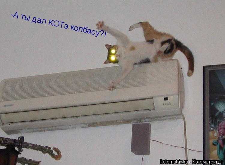 -А ты дал КОТэ колбасу?!... Котоматрица: -А ты дал КОТэ колбасу?!