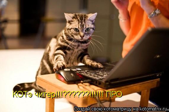 КОТэ читер!!!??????!!!!!! ПРО... Котоматрица: КОТэ читер!!!??????!!!!!! ПРО