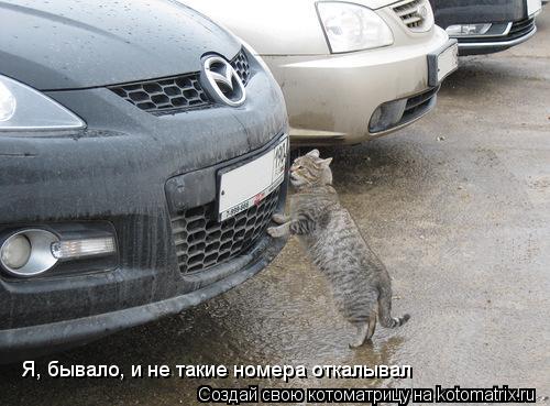 Я, бывало, и не такие номера откалывал... Котоматрица: Я, бывало, и не такие номера откалывал