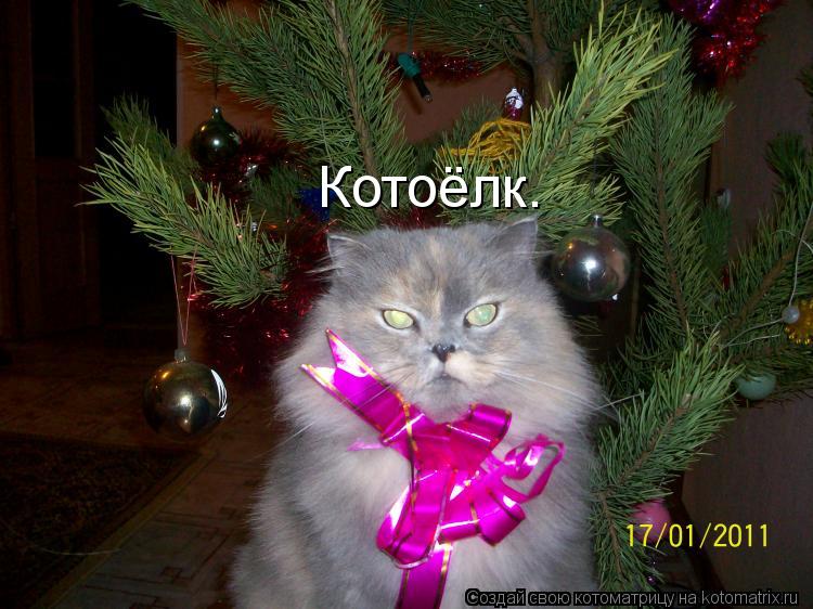Котоёлк.... Котоматрица: Котоёлк.