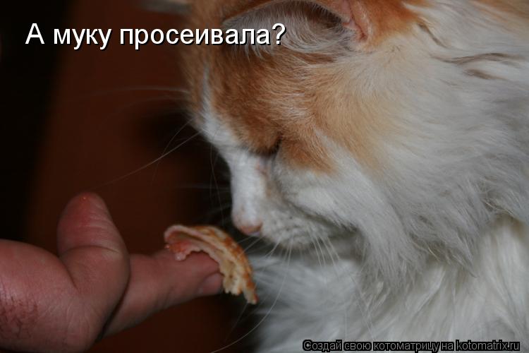 А муку просеивала?... Котоматрица: А муку просеивала?