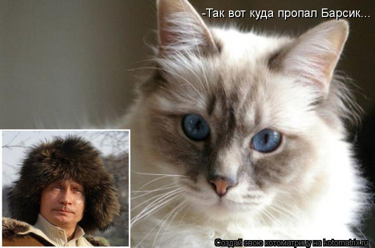 -Так вот куда пропал Барсик...... Котоматрица: -Так вот куда пропал Барсик...