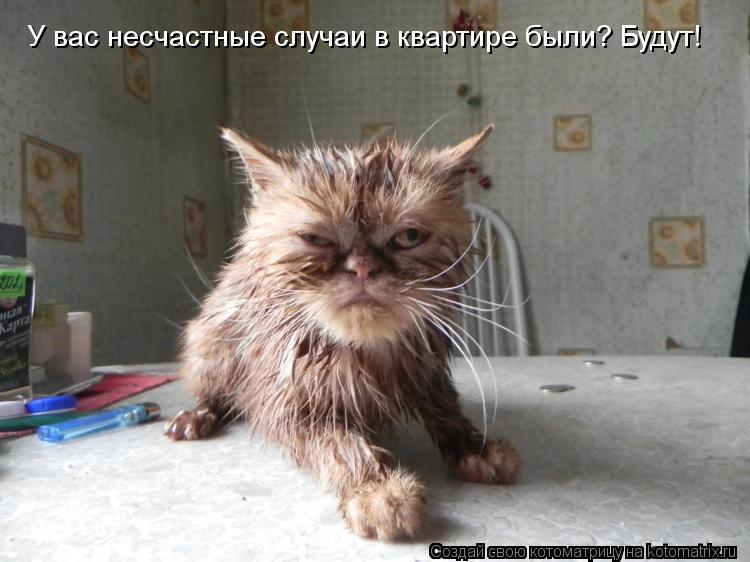 У вас несчастные случаи в квартире были? Будут!... Котоматрица: У вас несчастные случаи в квартире были? Будут!